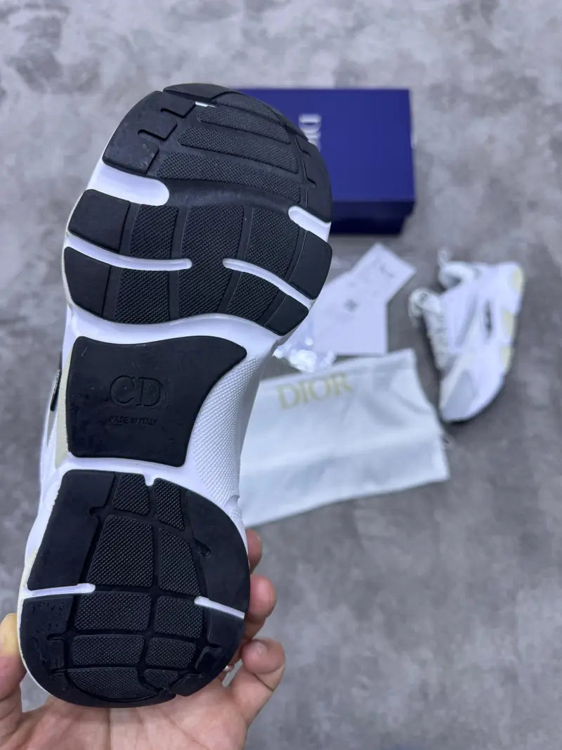 DIOR - B22
